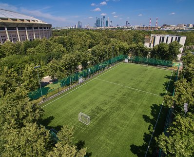 Профессиональное футбольное поле Лужников